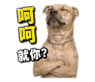 841483442