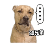 841483443