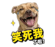 841483445