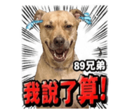 841483447