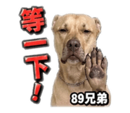 841483448