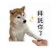 841483803