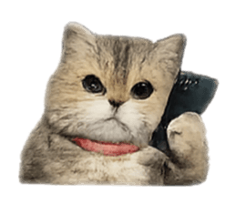 841483819