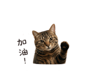 841484230