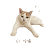 841484321