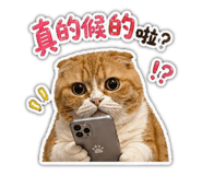 841484497