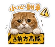 841484508