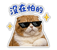 841484510
