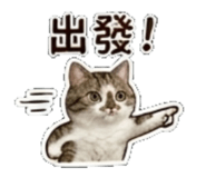 841484556