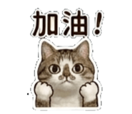 841484557