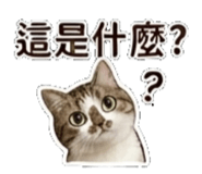 841484561