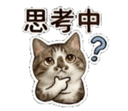 841484580