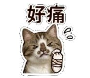 841484581