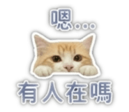 841484655