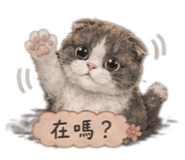 841484666