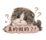 841484702