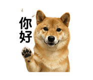 841484897