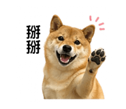 841484898