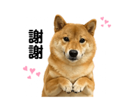 841484899