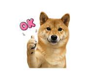 841484901