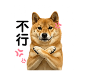 841484902