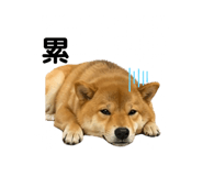 841484904