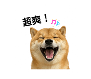 841484906