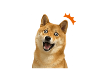 841484911