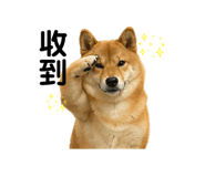 841484912