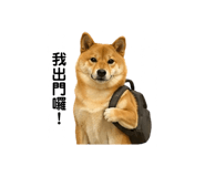841484913