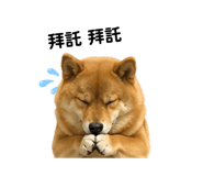 841484915