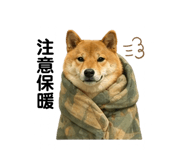 841484916