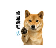 841484918