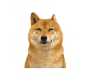 841484920