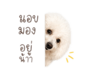 841489990