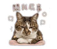 841490404