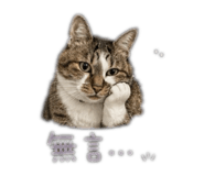 841490406
