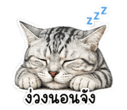 841497385
