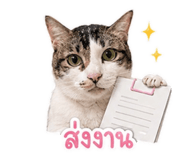 841502731