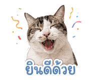 841502732