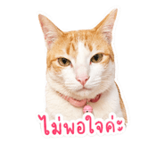 841507807