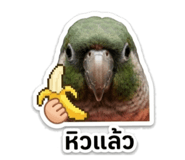 841508736