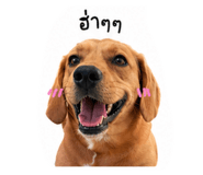841509237