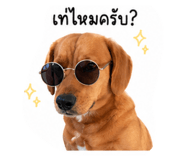 841509242