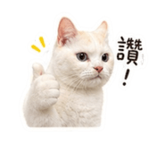 841509911