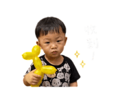 841510732
