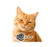 841514888
