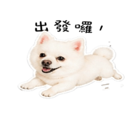 841515419