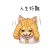 841515581