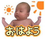 841515911